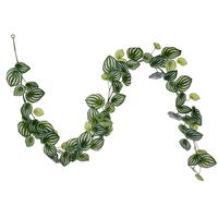 72" Watermelon Peperomia Garland UV