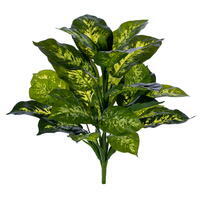 20" Green Dieffenbachia Bush RT UV