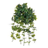 25" Green Varie Sage Ivy Hang Bush FT UV