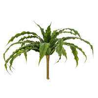 13" Green Bird Nest Fern Bush
