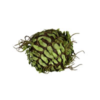 Vickerman Artificial Boston Fern Ball
