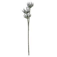 24" Mixed Green Aloe Spray Asst 3/pk