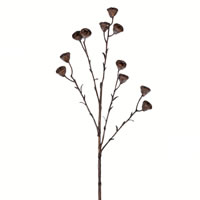 26" Brown Labill Spray 4/pk