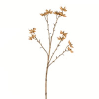 24" Beige Illicium Verum Spray 4/pk