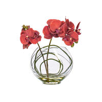 Vickerman Artificial 9.8" Butterfly Orchid In Glass Pot