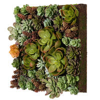 16.5" Multi-Colored Succulent Wall Arran