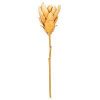 Vickerman 25" Light Orange Protea Stem 2/Bag