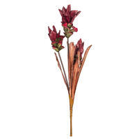 Vickerman 28.5" Siam Tulip 2/Bag