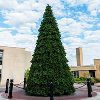 Vickerman Grand Teton Frame Artificial Christmas Tree