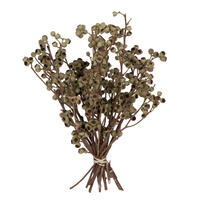 Vickerman Natural Botanicals 14" x 1-3" Ambernut Branch