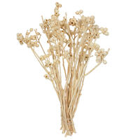 Vickerman Natural Botanicals 14" x 1-3" Ambernut Branch