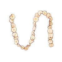 10' Natural Dried Apple Garland