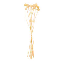 Vickerman 16-20" Natural Dried Craspedia Bunch 1.75 oz