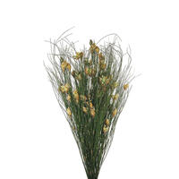 Vickerman 36"-40" Bell Grass with Seed Pods, Preserved