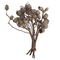 Bellgum Branch