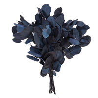 Vickerman Natural Botanicals 18-20" x 8" Eucalyptus Populus, 100 grams per unit
