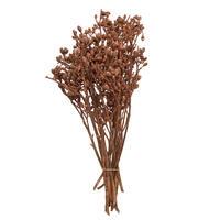Vickerman Natural Botanicals 12" x 1-3" Eucalyptus Clusters on stem, 16 stems per unit