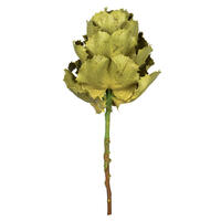 Vickerman 8" Queen Flower Stem, Dried