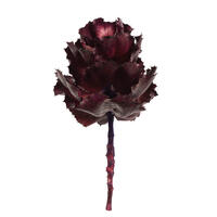 Vickerman 6-7" Queen Flower, Dried