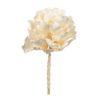 Vickerman 6-7" Queen Flower, Dried