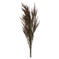 Vickerman Green Reed Grass Bundle