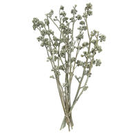 Vickerman Natural Botanicals 13" x 1-3" Red Gum Branch Frosted, 14 stems per unit