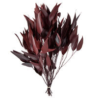 Vickerman Natural Botanicals Red Eucalyptus Willow