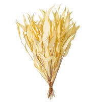 Vickerman 18" Weeping Willow Eucalyptus Foliage Bundle, Preserved