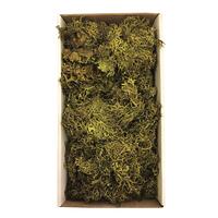 Moss Green Wolf Lichen Moss 8oz