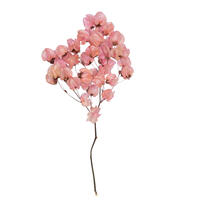 Vickerman Cara Blossom Spray