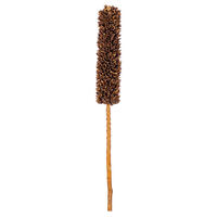 Vickerman 18" Dried Cirius Stem, 6 per bag