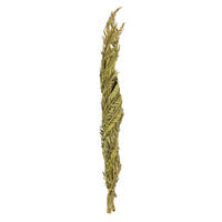 Vickerman 40-48" Twisted Coco Palm Stems, Dried