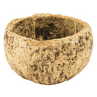 Vickerman all Natural Mayan Coconut, Dried