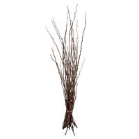 Vickerman 34-40" Moneta Branches, Dried 8oz