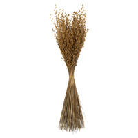 Vickerman 30" Princess Grass Bundle, Dried