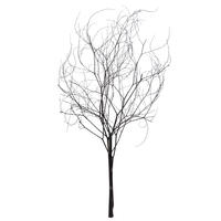 18-20" Natural Brown Skeleton Branch 3Pk