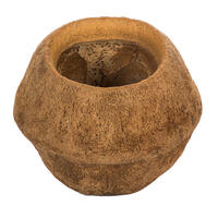 Vickerman 4" Sapa Pod, Dried