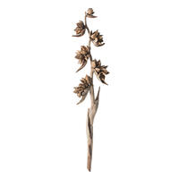 Vickerman 5-6' Star Pod Stalk, Dried