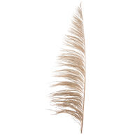 Vickerman 60-72" Uva Palm Spray