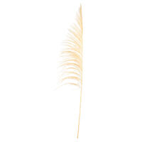 Vickerman 60-72" Uva Palm Spray