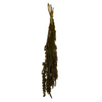 Vickerman 30" Amaranthus Bundle, Preserved