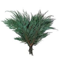 Vickerman 18-24"  Port Orford Green Cedar Branches, Preserved
