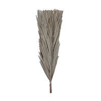 Vickerman Natural Botanicals 25" Canna Leaf, 10 Pieces per Bunch