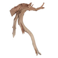 Vickerman Ghostwood Manzanita, Dried