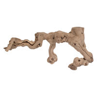 Grapewood Trunk Branch SB