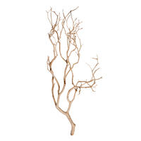 Vickerman Manzanita Tree Branch, Dried
