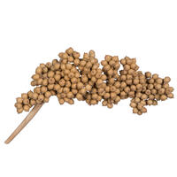 Vickerman Natural Botanicals 6"-8" Canella Special