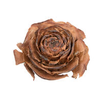 Vickerman Cedar Rose