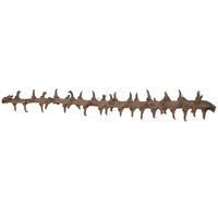 32" Coco Exotica Natural 2/pk