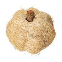 Vickerman Natural Botanicals Dried Hand Crafted Coconut Coir Pumpkin